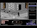 08. Last Ninja, The Dungeons