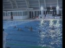 WP Navarra vs Mataro 7 Great Goals water polo WP Navarra vs Mataro 7 Great Goals water polo