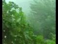 Niebla, Lluvia, Nieve, Rayos en Collbató