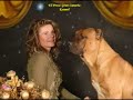 El Presa Gran Canaria Kennel/Dogo Canario