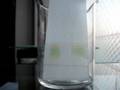 Chromatography