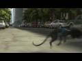 videos de HD1080P - Bolt Trailer 1 - In theaters November 21, 2008