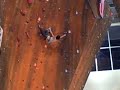 Dave Graham Climbing at Nationals in Utah 2008