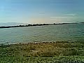 LAGUNA BLUE