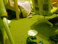 Video 8