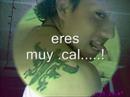 pa xarrito