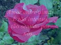 mensagem nive amor
