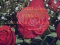 Mensagem Nive Amor
