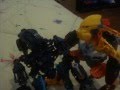 cionicle 2-7