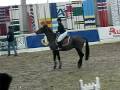 Paulie et falloux afgand