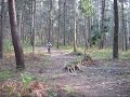 primer montaje de video que hice con el Mvk...