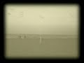 los BELKINGS - LA PLAYA