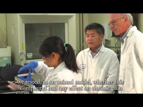 how to isolate ribosomes