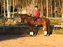 Alings�s Jack