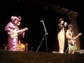 under the bridge - the red hot higgy peppers ( full band)