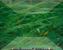 Atlantis Photowheel Motion blur in Compiz-Fusion