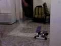 videos de burla a los floggers (RaFa)
