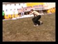 fun crash hohma)