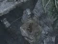 Tomb Raider Underworld Walkthrough Mission 4 Mexico [2/6]