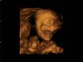 Joyan's baby video clip2