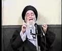 نفحات مرجعية - المرجع الشيرازي - حكم علي بن ابي طالب