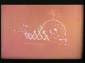vacation kingdom at walt disney world disneyland florida 8mm