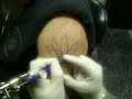 Division 7 Tattoos - 