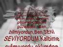 Sen Bilmiyordun.