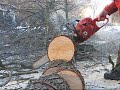 Brennholz/firewood Brennholz/firewood