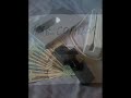 Buy Atm Skimming