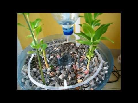 PET Bottle Aquaponics System (HD) , A How to Video on DIY Crafts and 