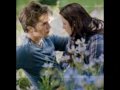 Love is Worth the Fall
