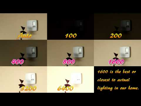 how to adjust iso on canon rebel