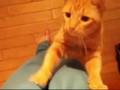 Our new baby's 2nd vid