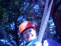ALASKA FUN 15 MORE
