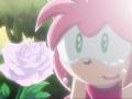 Amy Rose- Taken