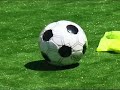 PETR CECH - CHELSEA PETR CECH - CHELSEA