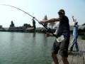 Fighting a baby Mekhong Catfish in Bung Sam Ran
