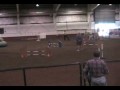 Agility Darwin Dog Master Jumpers Leg2