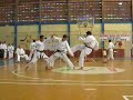 Kata Equipe Bunkai Bassai-Dai Leonardo, Carlos e Demolidor