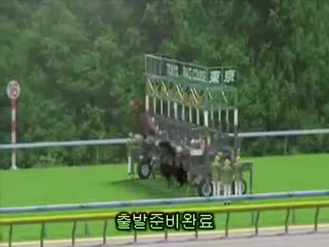 racing results cheltenham