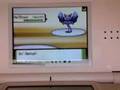 videos de Smogon Wi-Fi Battle - Negator Vs BlazeMTF - OU lv 100