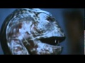 hisss scene 1