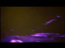 Klozup Videoproducties: Bizz Banascus GGPNL Promo Klozup Videoproducties: Bizz Banascus GGPNL Promo
