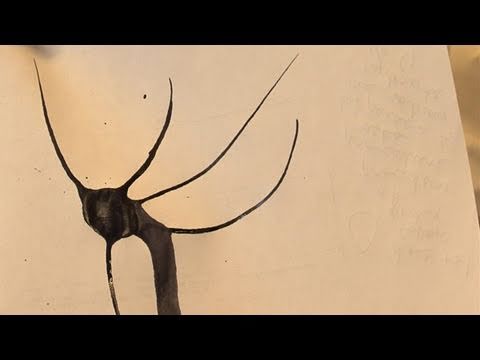 YouTube Preview Image