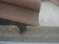 Hey big spider