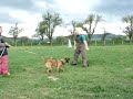 alan civil 2