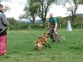 alan civil 2