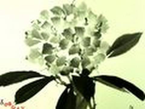 Rhododendron Sumi-e