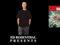 Big Book of Buds 3